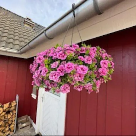 Hyggeligt Taet Pa Vandet I Bro * Brenderup